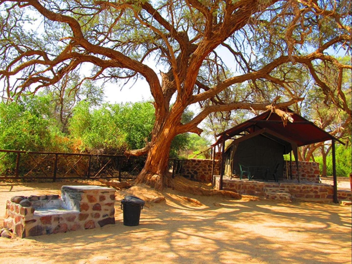 Brandberg White Lady Lodge Uis Exterior foto