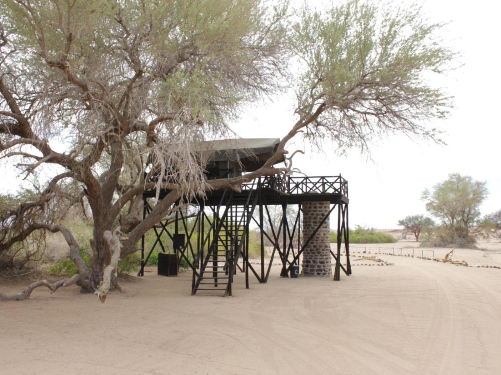 Brandberg White Lady Lodge Uis Exterior foto